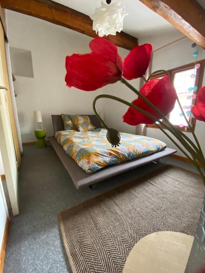 Duplex Arago Au Coeur De Sete, Comme Une Petite Maison Ngoại thất bức ảnh